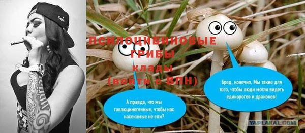 мяу мяу мука Елизово
